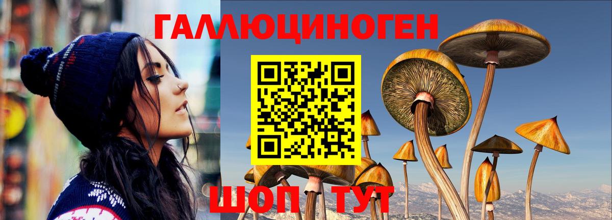 хочу наркоту  Вход с VPN  Галлюциногенные грибы GOLDEN TEACHER  Тула  Галлюциногенные грибы Magic Shrooms 